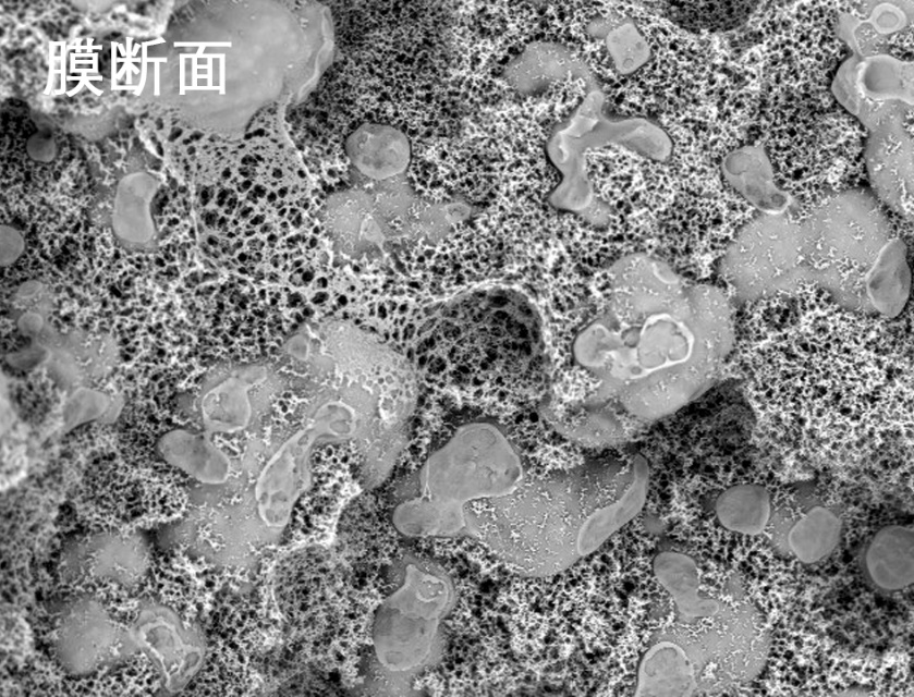 樱桃视频免费下载版燒結管式膜電鏡照片